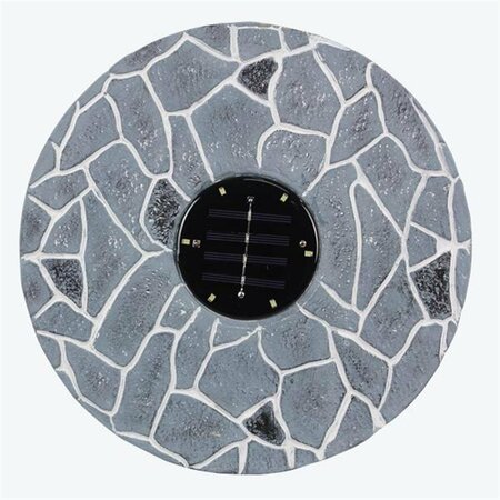 YOUNGS Stepping Stone with Solar Lights 72339